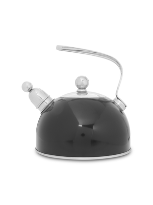 @home evolution stove top kettle black