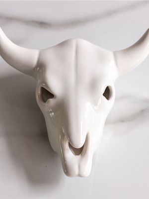 rialhem medium cow skull g/white 17cm