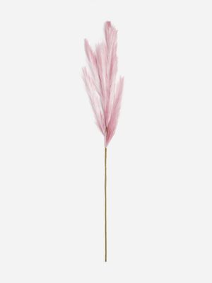 Jet Home Pink/White Long Pampass Grass