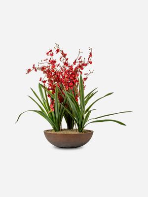 Fine Faux Orchid In Cement Pot Large 60 x 40cm