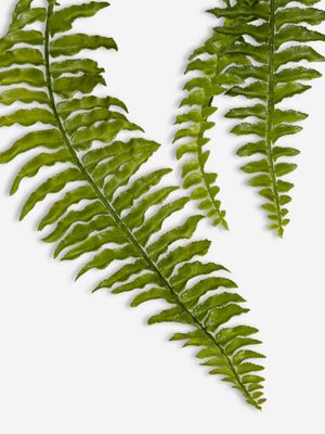 Faux Fern Branch 104cm