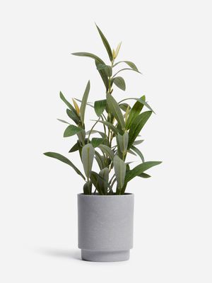 Jet Home Small Olive Potted Plant