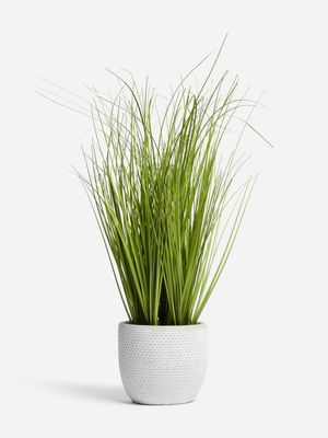 Jet Home Grass Potted Plant