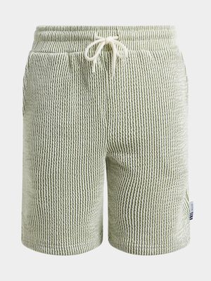 Jet Younger Boys Green Textured Shorts