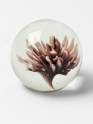 Flower Paperweight Burgundy 8cm