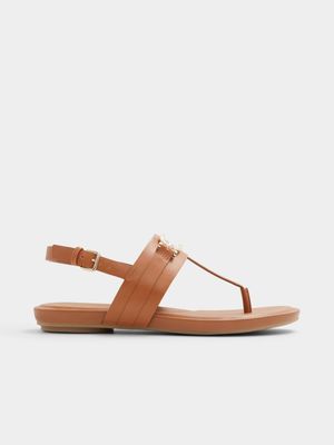 Women's Aldo Brown ADRAYNWAN Flat Sandals