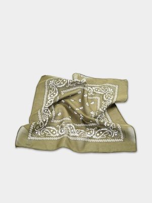 Men's Markham Paisley Green  Neck Scarf