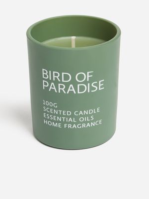 Jet Home Green Birds Of Paradise Scented Candle