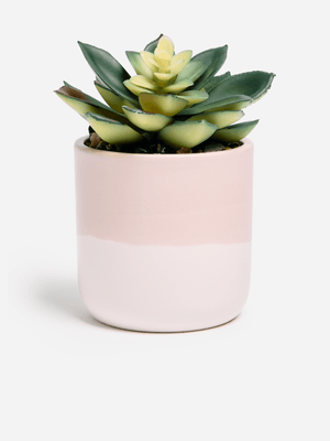 Jet Home Stone/Ombre Succulent Potted Plant