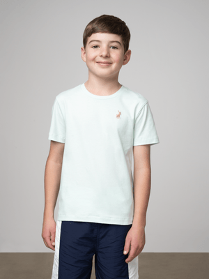 Boys Polo Ice Blue Rick T-Shirt