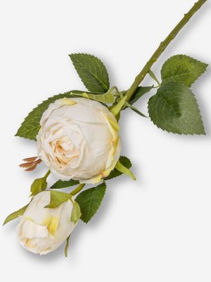 Faux Antique Rose Stem White 53cm