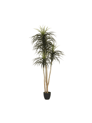 faux Yucca Tree 185cm