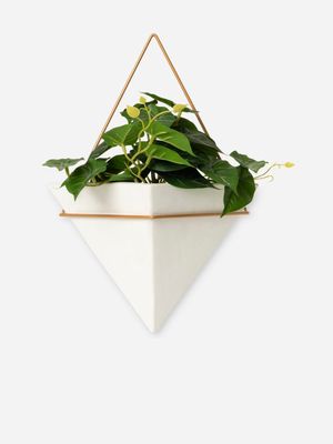 Potted Faux Hanging Taro Leaves