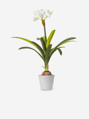 Faux Amaryllis Plant White 80cm