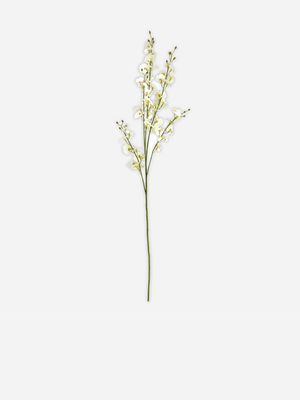 stem oncidium flowers white 91cm