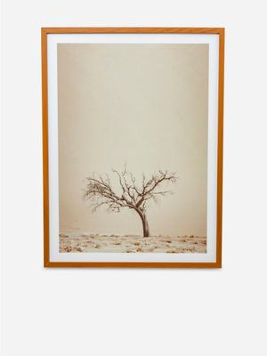 Lone Tree Framed Photography Art 60 X 80cm