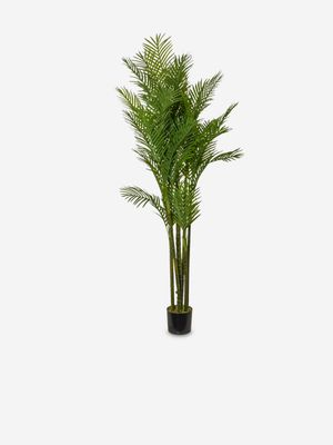 Faux Large Areca Palm Tree 210cm