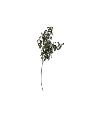 faux olive tree branch 80cm