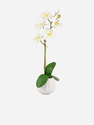 Faux Orchid Plant in Ceramic Pot White