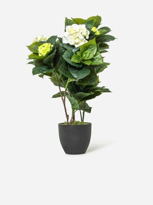 Faux Hydrangea Pot Plant 69cm