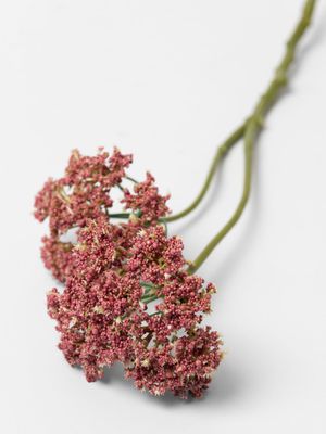 Queen Annes Lace Stem Dark Pink