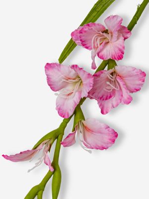 Faux Single Gladiola Pink 87cm