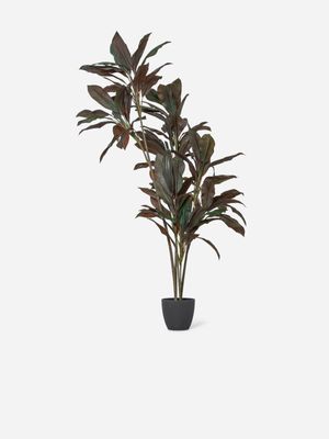 Faux Cordyline Fruiticosa Pot Plant 178cm