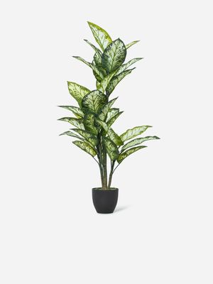 Faux Diffenbachia Pot Plant 123cm