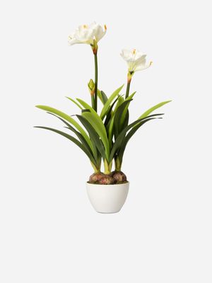 Faux Amaryllis Pot Plant White 100cm