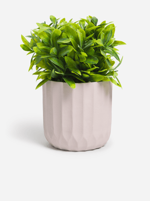 Jet Home Buxus Leaf Potted Plant