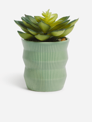 Jet Home Green Cucculent Potted Plant