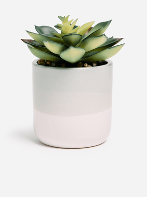 Jet Home Sage/Ombre Succulent Potted Plant