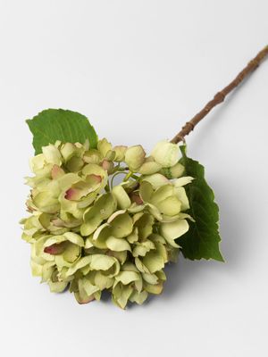 Faux Hydrangea Stem Green 56cm