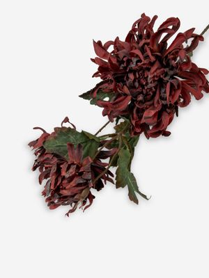 Faux 3 Flowers Chrysanthemum Stem Burgundy 82cm