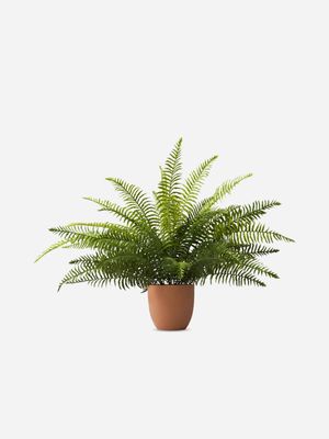 Faux Boston Fern In Pot 82.5 x 57.5cm