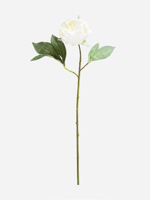 Jet Home White Peony Stem