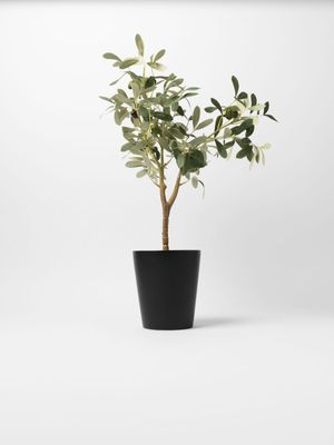 Faux Olive Tree in Black Ceramic Pot 61cm