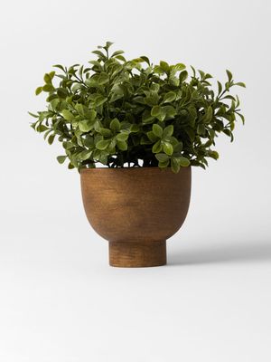 Faux Tea-Leaves In Paper Mache Pot 30 x 20cm