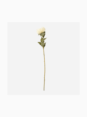 Faux Pincushion Protea Stem Dry 72cm
