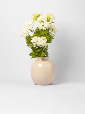 Sweet Alyssium Plant In Ceramic Pot 60.3cm