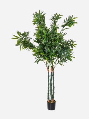 Faux Bamboo Tree 205cm