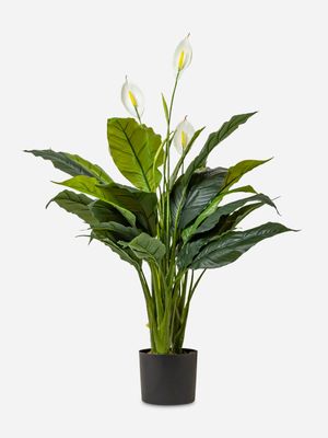 Faux Peace In The Home In Plastic Pot 110cm