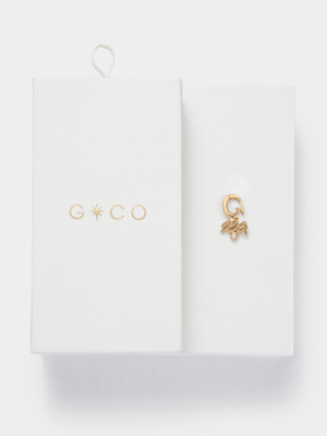 14ct Gold Plated Cubic Zirconia Aquarius Charm