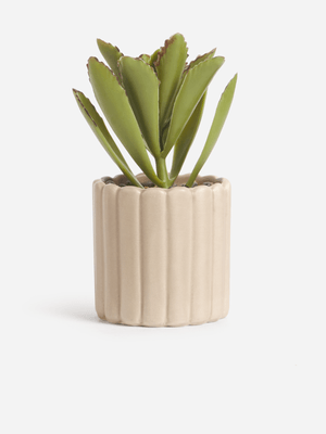 Jet Home Tan Rib Succulent