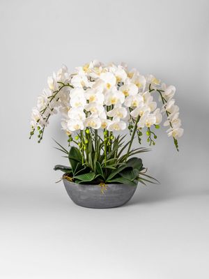 Faux Butterfly Orchid In Pot 66 x 56cm