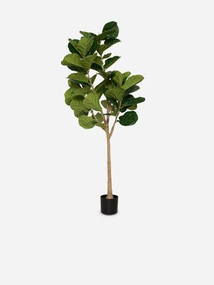 Faux Fiddle Leaf Fig In Plastic Pot 180cm