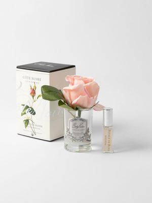 Cote Noire Rose Bud Diffuser Pink Cherry Blossom