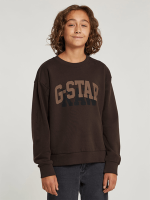 Kids G-star  Brown Sweater
