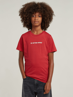 Kids G-star Brown Regular Sport T-Shirt