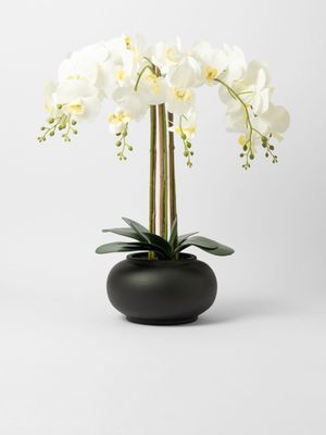 Real Touch White Orchid In Pot 50 x 60cm